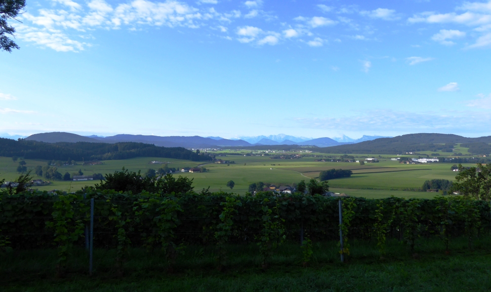 Blick vom Schlossberg nach Süden über die Landesgrenze in den Flach- und Tennengau
